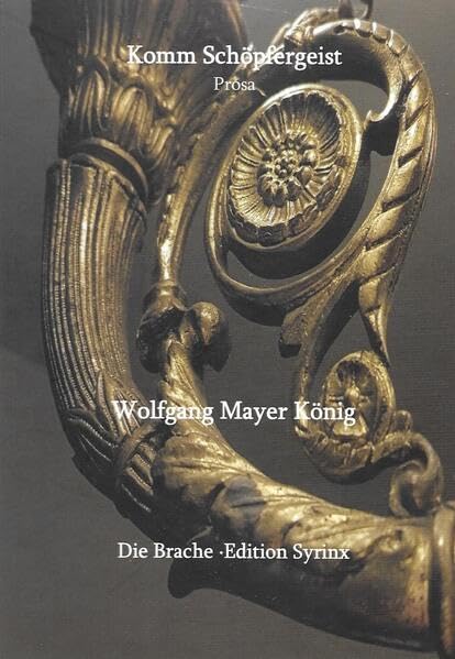 Komm Schöpfergeist (Die Brache: Edition Syrinx) Contemporary literature Books