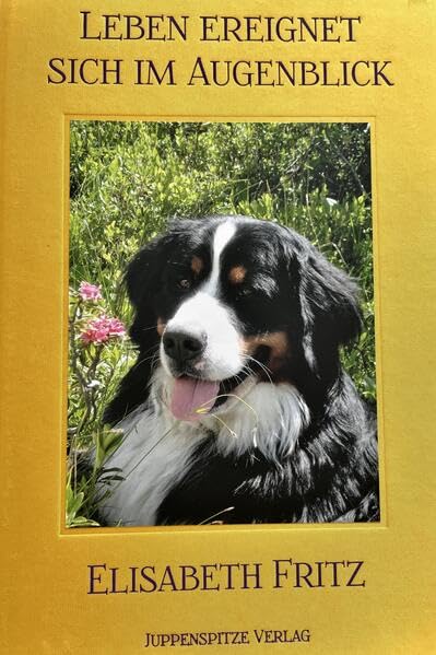 Product Image: Leben ereignet sich im Augenblick
