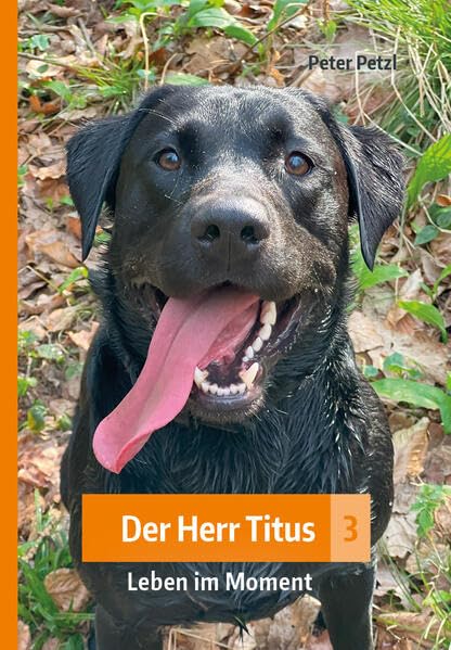 Der Herr Titus 3: Leben im Moment Contemporary literature