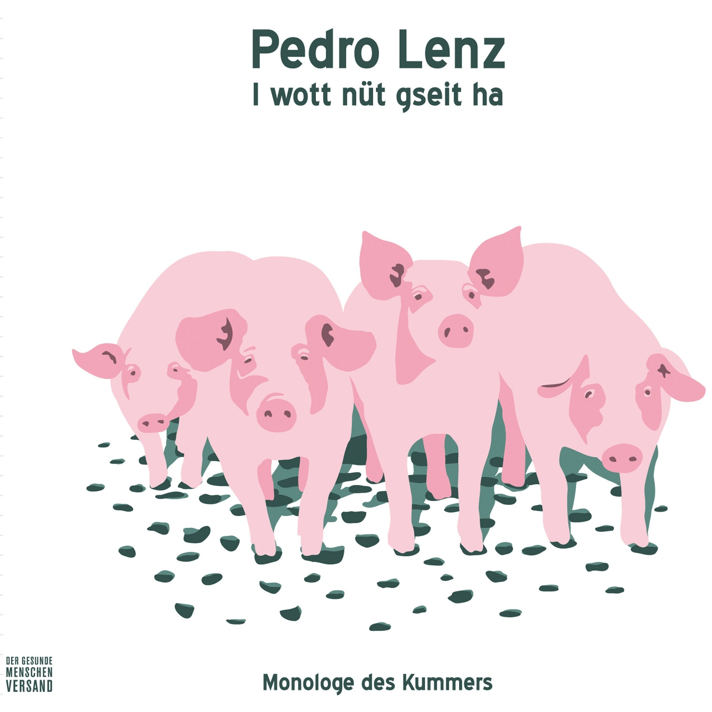 I wott nüt gseit ha: Monologe des Kummers Contemporary literature
