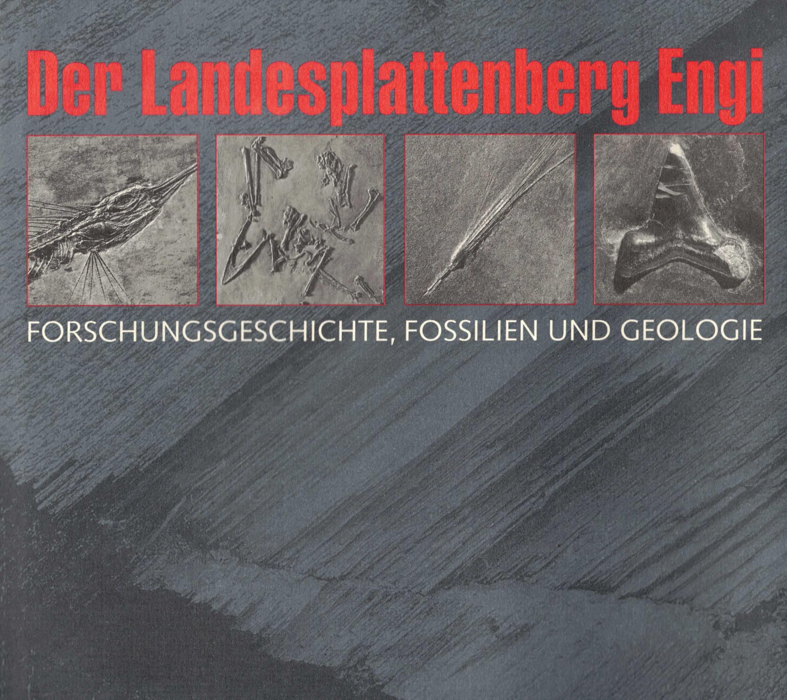 Der Landesplattenberg Engi: Forschungsgeschichte, Fossilien und Geologie Business & Technology