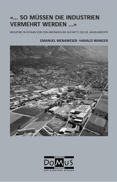 "... so müssen die Industrien vermehrt werden...": Industrie in Schaan von den Anfängen bis zur Mitte des 20. Jahrhunderts (DoMuS-Schriftenreihe) Politics & History