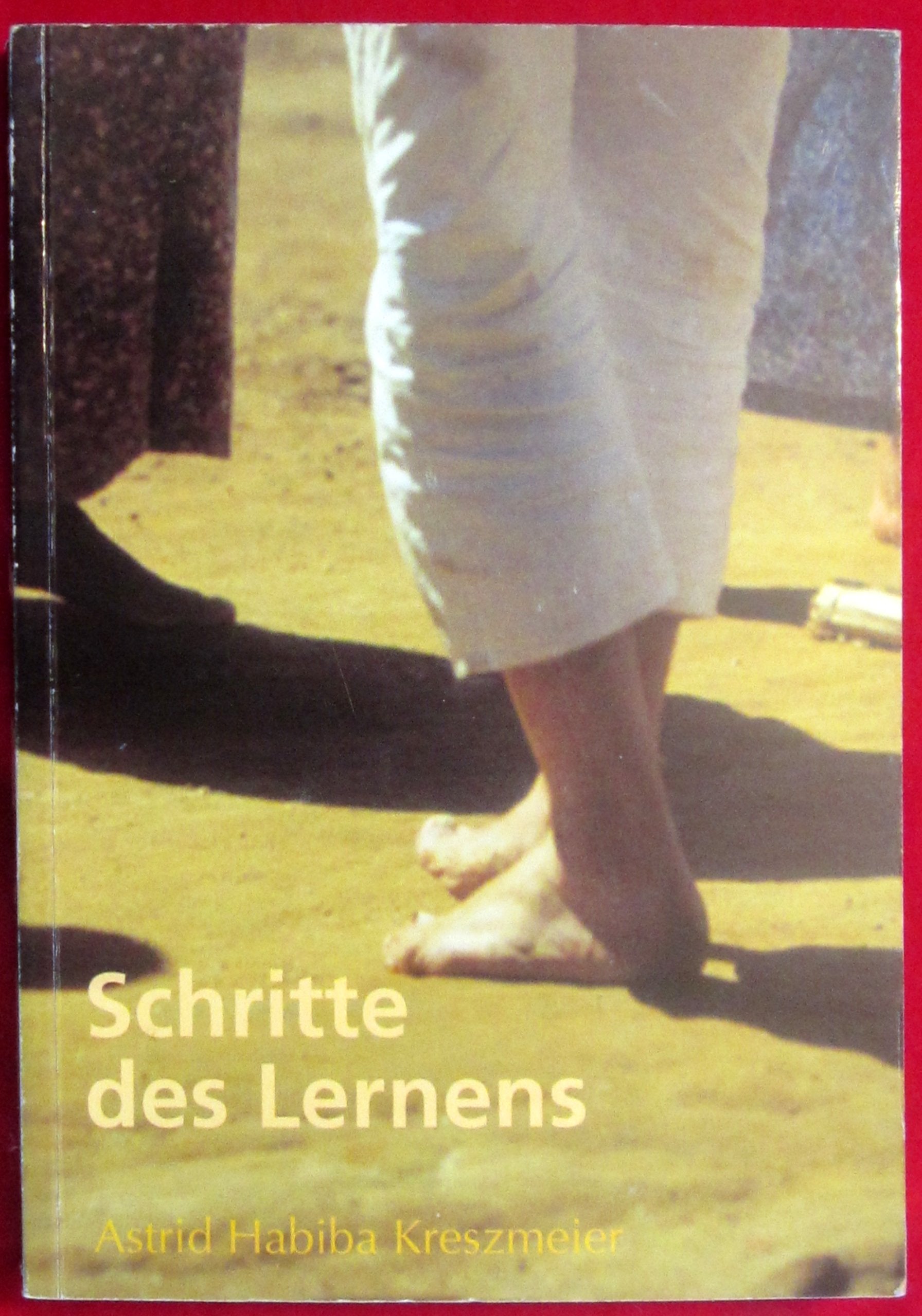 Schritte des Lernens: Lehrjahre einer afrobrasilianischen Einweihung Books