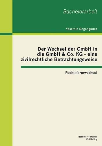 manchmal geh ich nachts zum spiegel: Gedichte Poetry