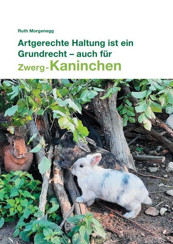 Artgerechte Haltung ist ein Grundrecht - auch für (Zwerg-) Kaninchen Pets
