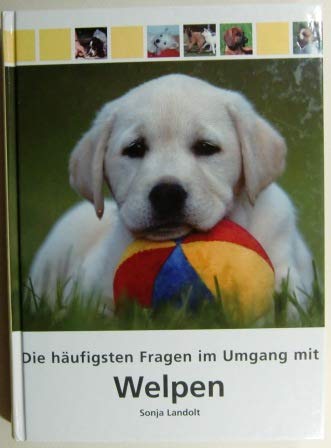 Die häufigsten Fragen im Umgang mit Welpen Pets