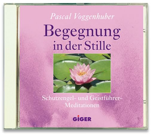 Begegnung in der Stille: Schutzengel- und Geistführer Meditationen Religion & Esotericism