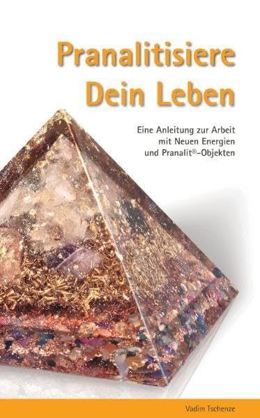 Pranalitisiere Dein Leben Second hand books on Religion & Esotericism