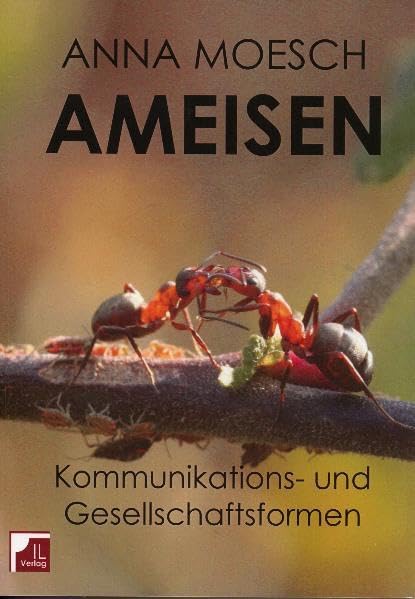 Ameisen: Kommunikations- und Gesellschaftsformen Education & Training