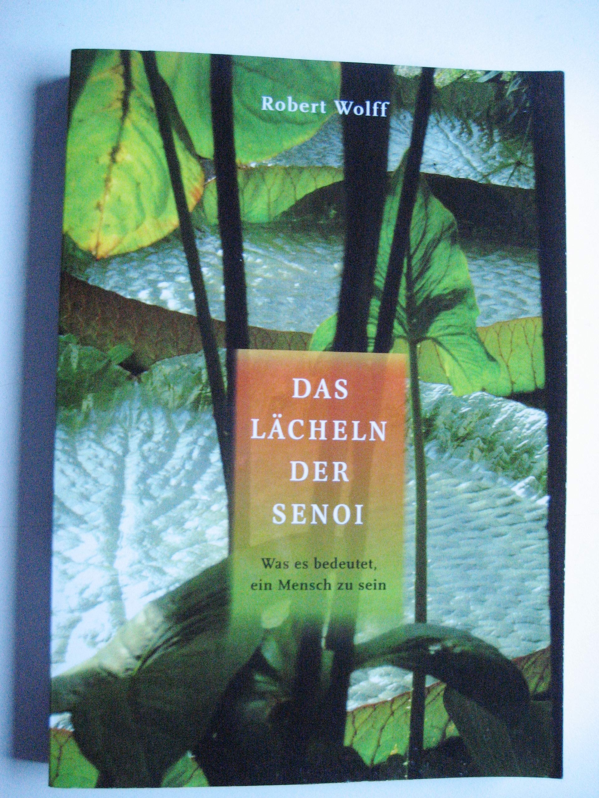 Das Lächeln der Senoi Social Sciences Books