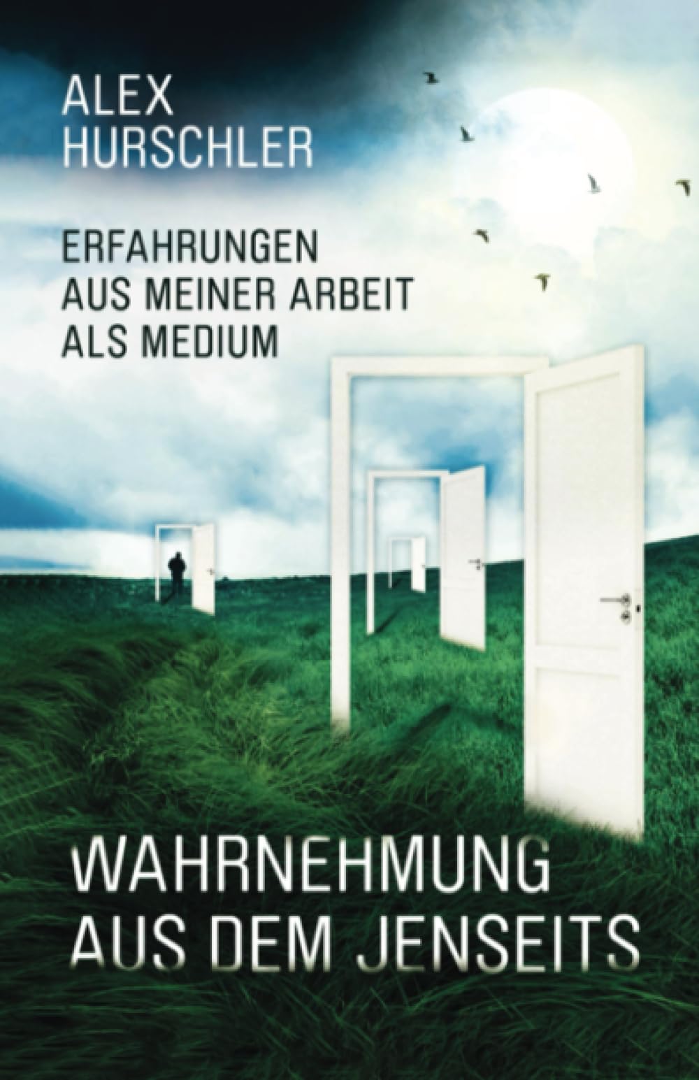 Wahrnehmung aus dem Jenseits: Erfahrungen aus meiner Arbeit als Medium book