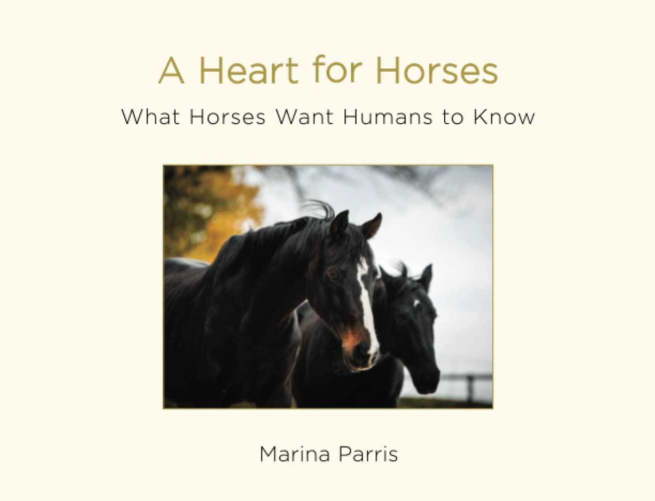 A Heart for Horses: What Horses Want Humans to Know Mathematics
