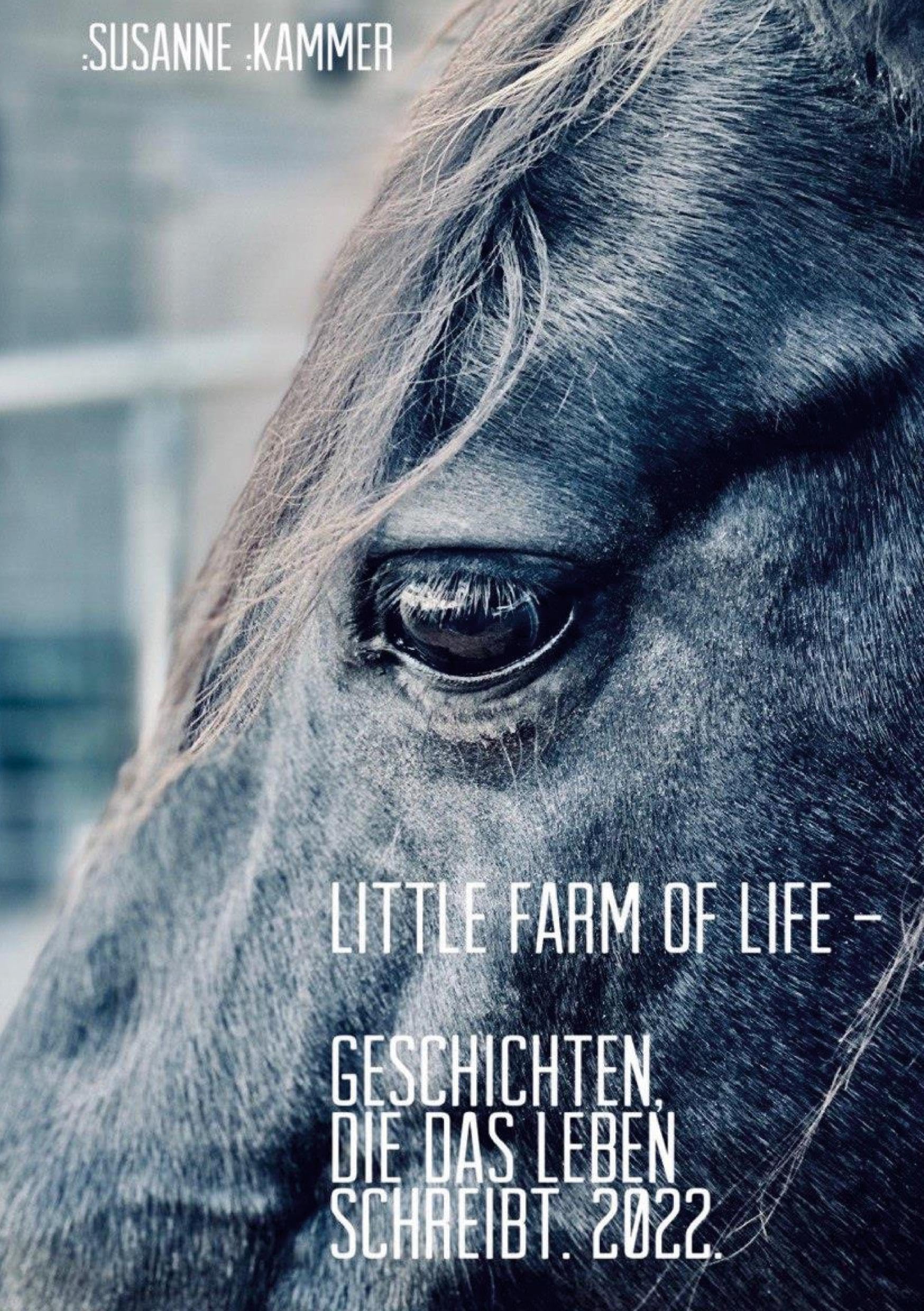Little Farm of Life. Geschichten, die das Leben schreibt. 2022. Essays & Short Stories