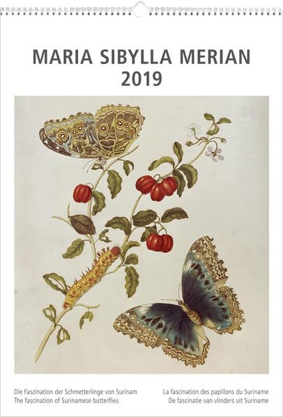Maria Sibylla Merian 2019: Die Faszination der Schmetterlinge von Surinam Professional & Reference Books