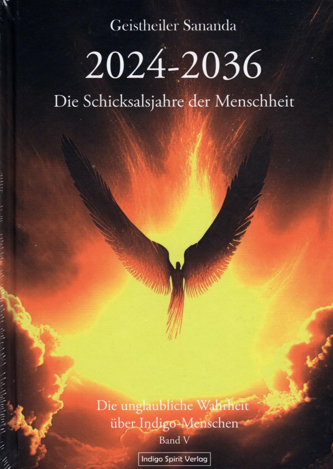 Geistheiler Sananda: 2024 – 2036: Die Schicksalsjahre der Menschheit: Die unglaubliche Wahrheit über Indigo-Menschen - Band 5 Politics & Society Books