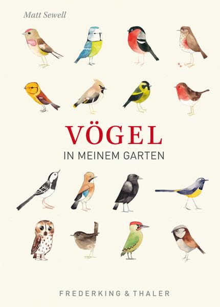 Vögel in meinem Garten Leisure, Home & Garden