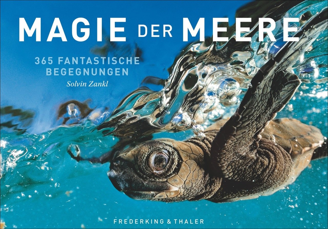 Tischaufsteller – Magie der Meere: 365 fantastische Begegnungen Leisure, Home & Garden