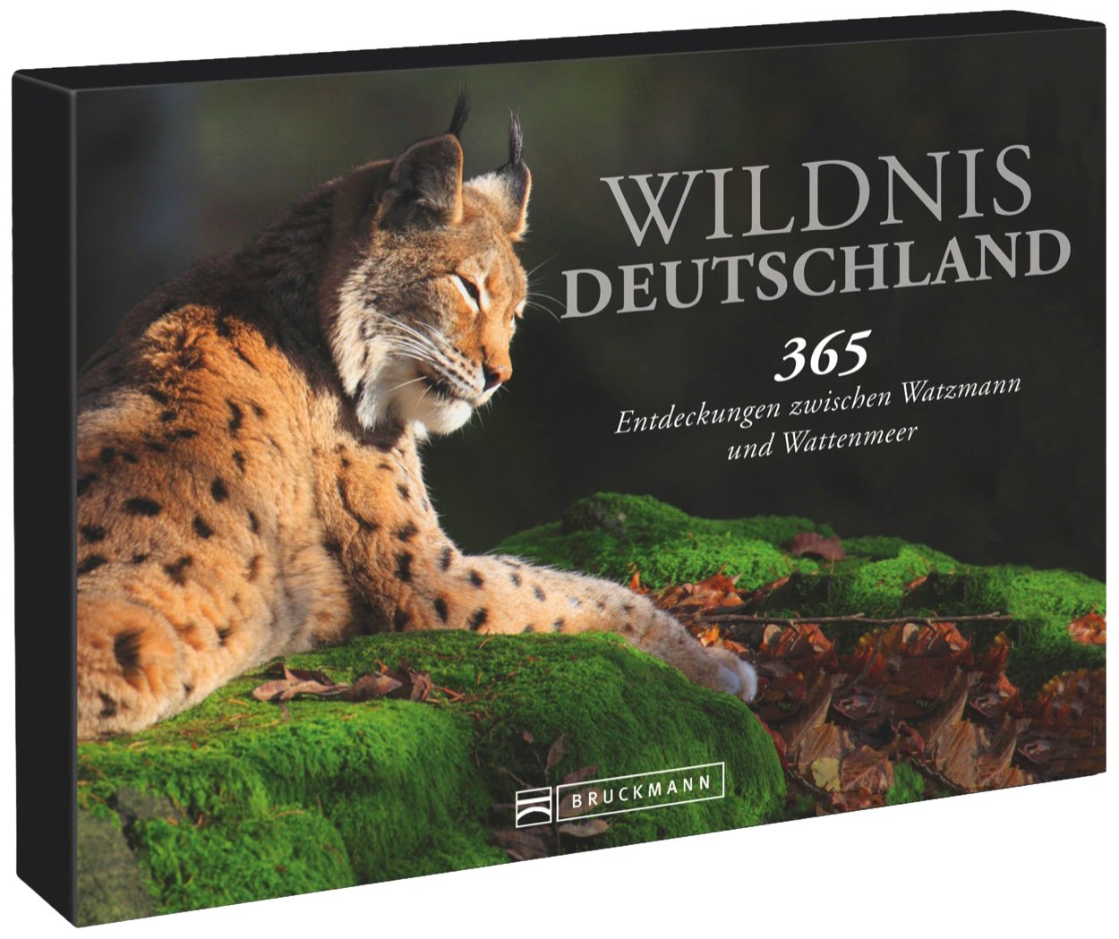 Tischaufsteller – Wildnis Deutschland: 365 Entdeckungen zwischen Watzmann und Wattenmeer Photography