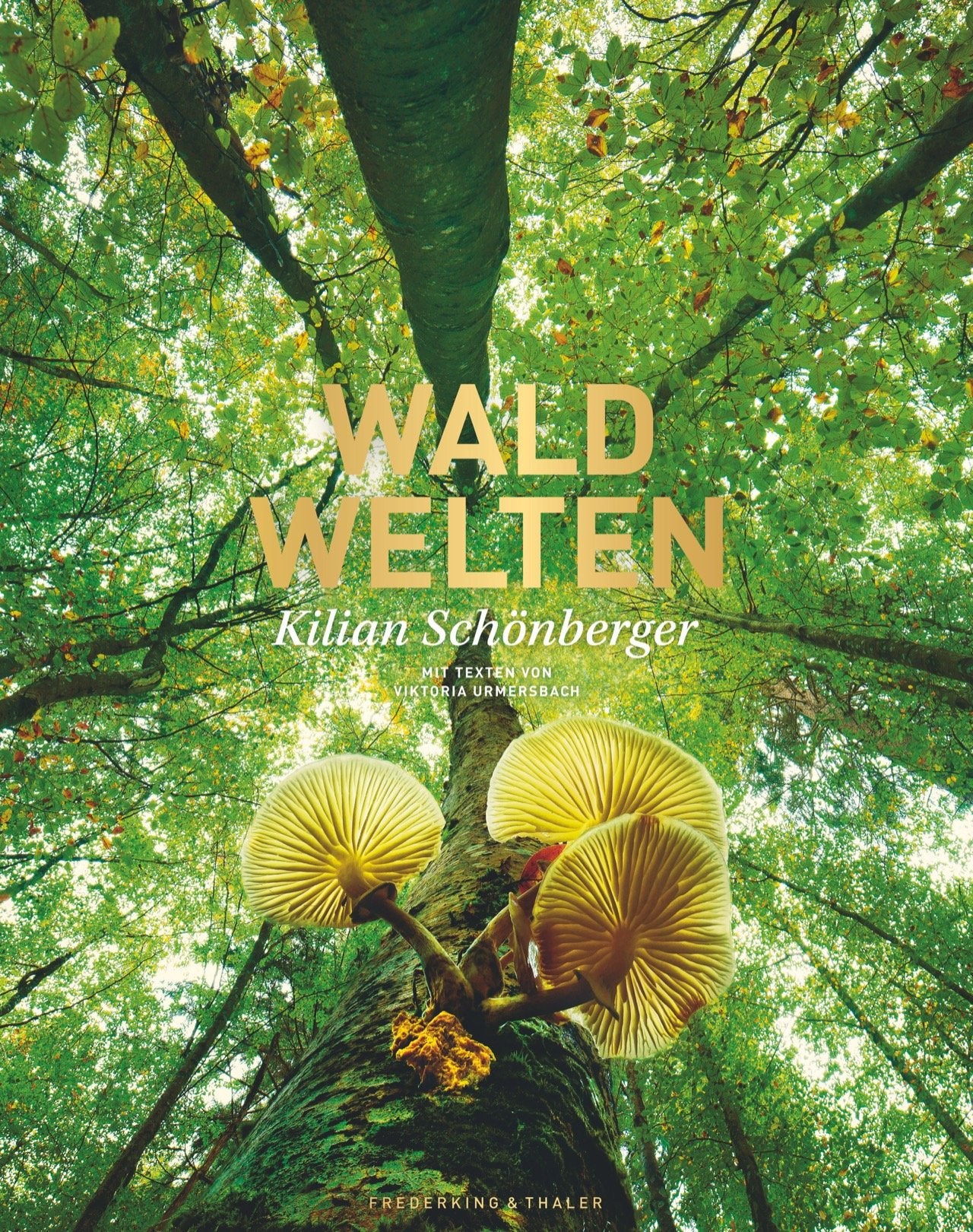 Product Image: Waldwelten