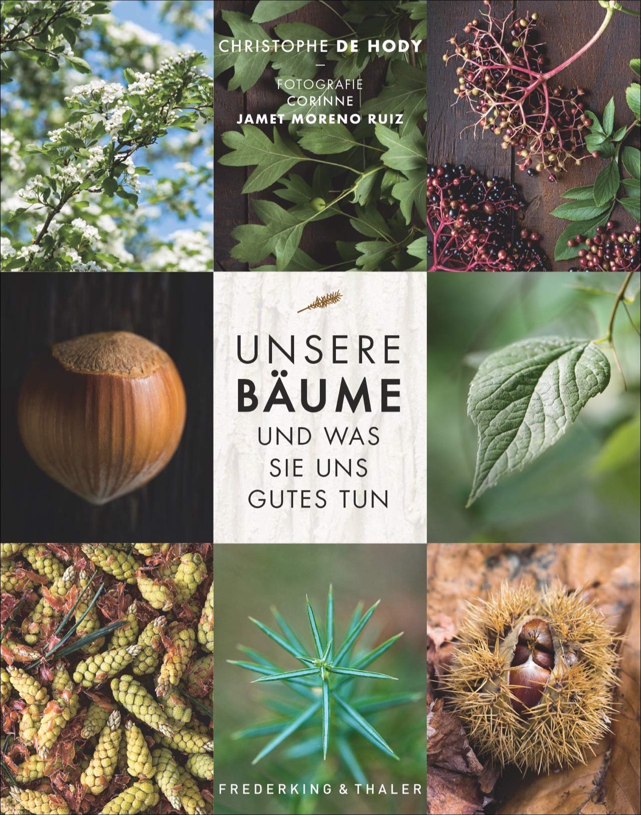 Unsere Bäume und was sie uns Gutes tun Garden & Plants