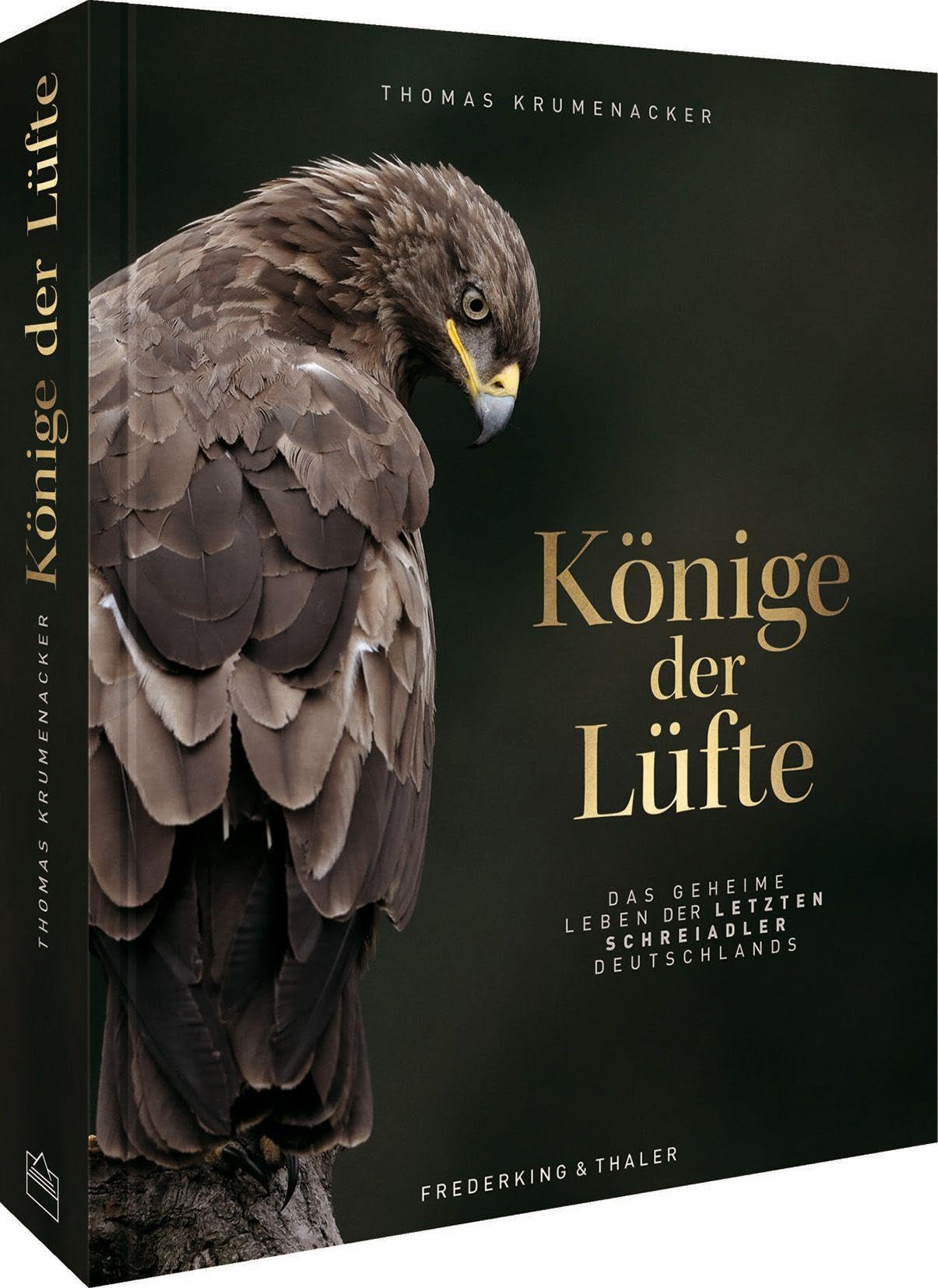 Könige der Lüfte Photography