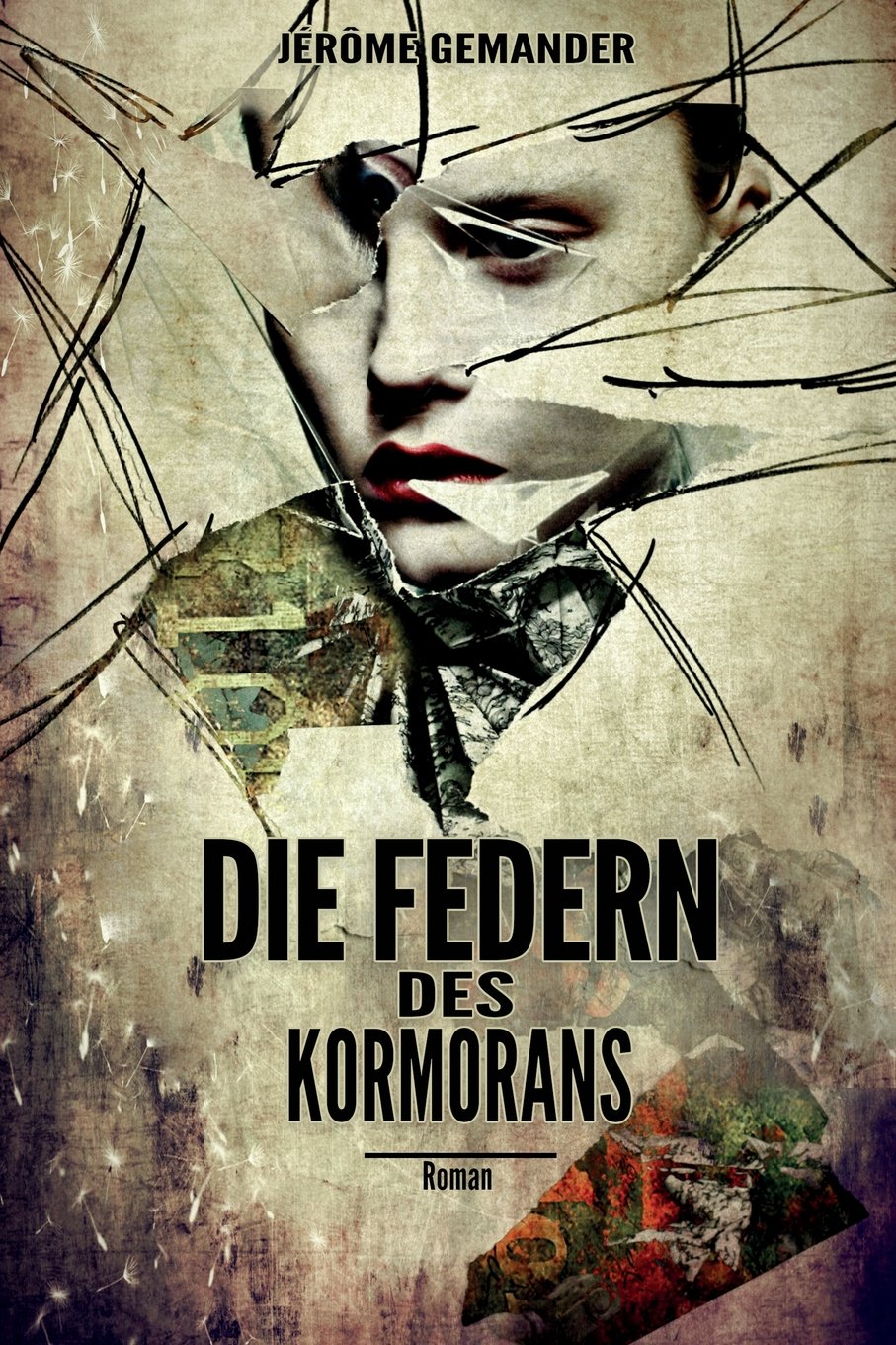 Die Federn des Kormorans Contemporary literature Books