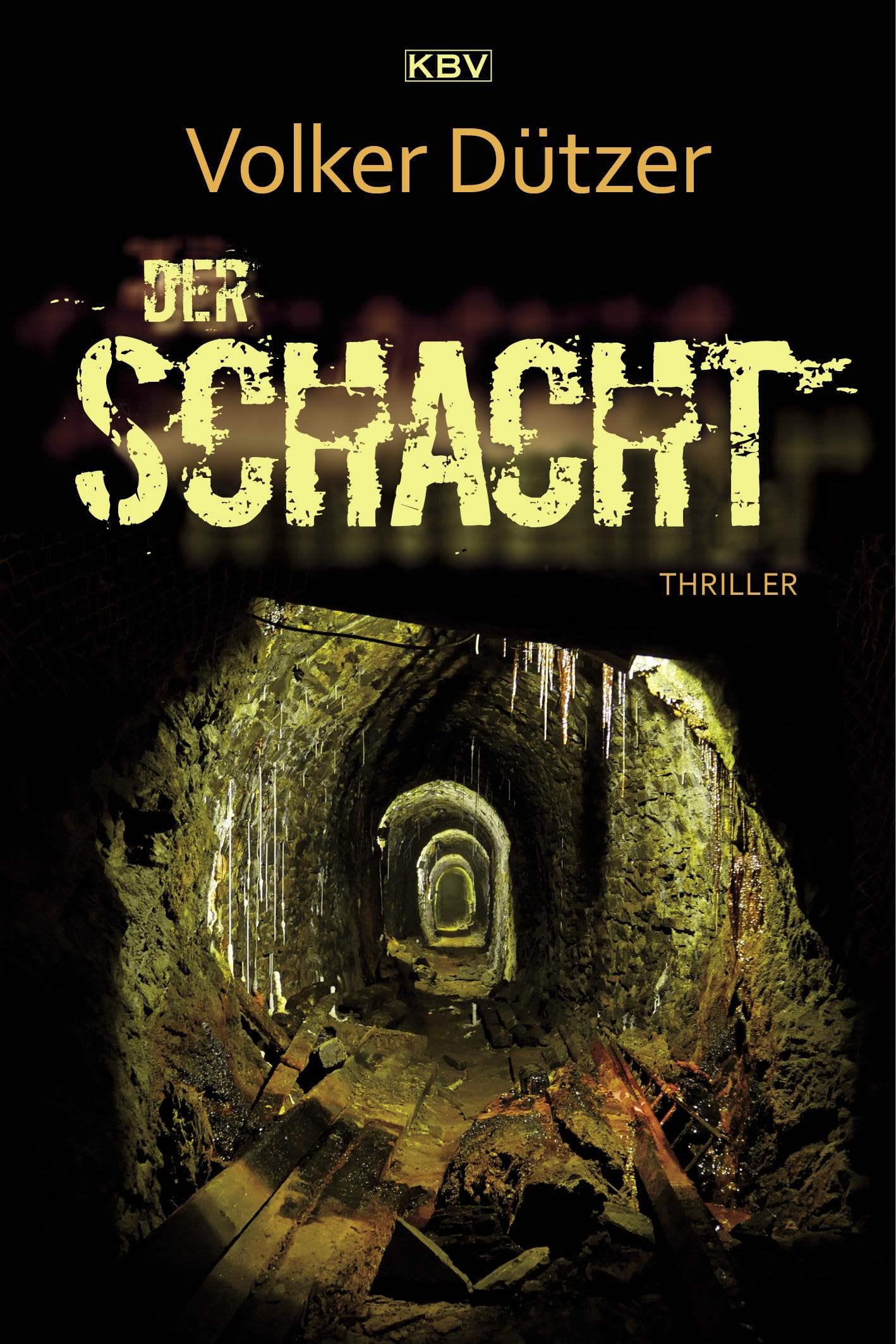 Der Schacht Contemporary literature Books