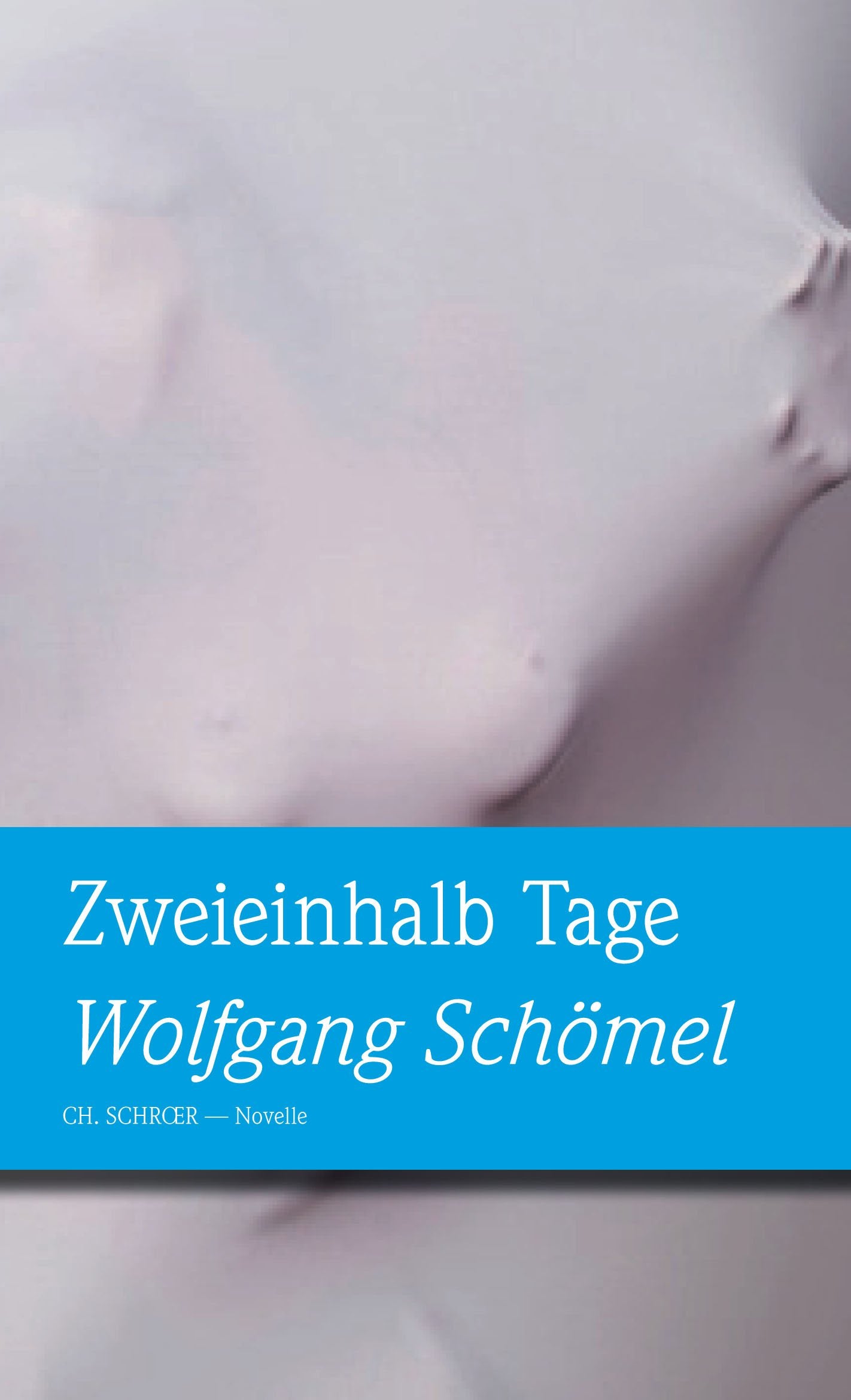 Zwei Tage, drei Nächte: Novelle Contemporary literature