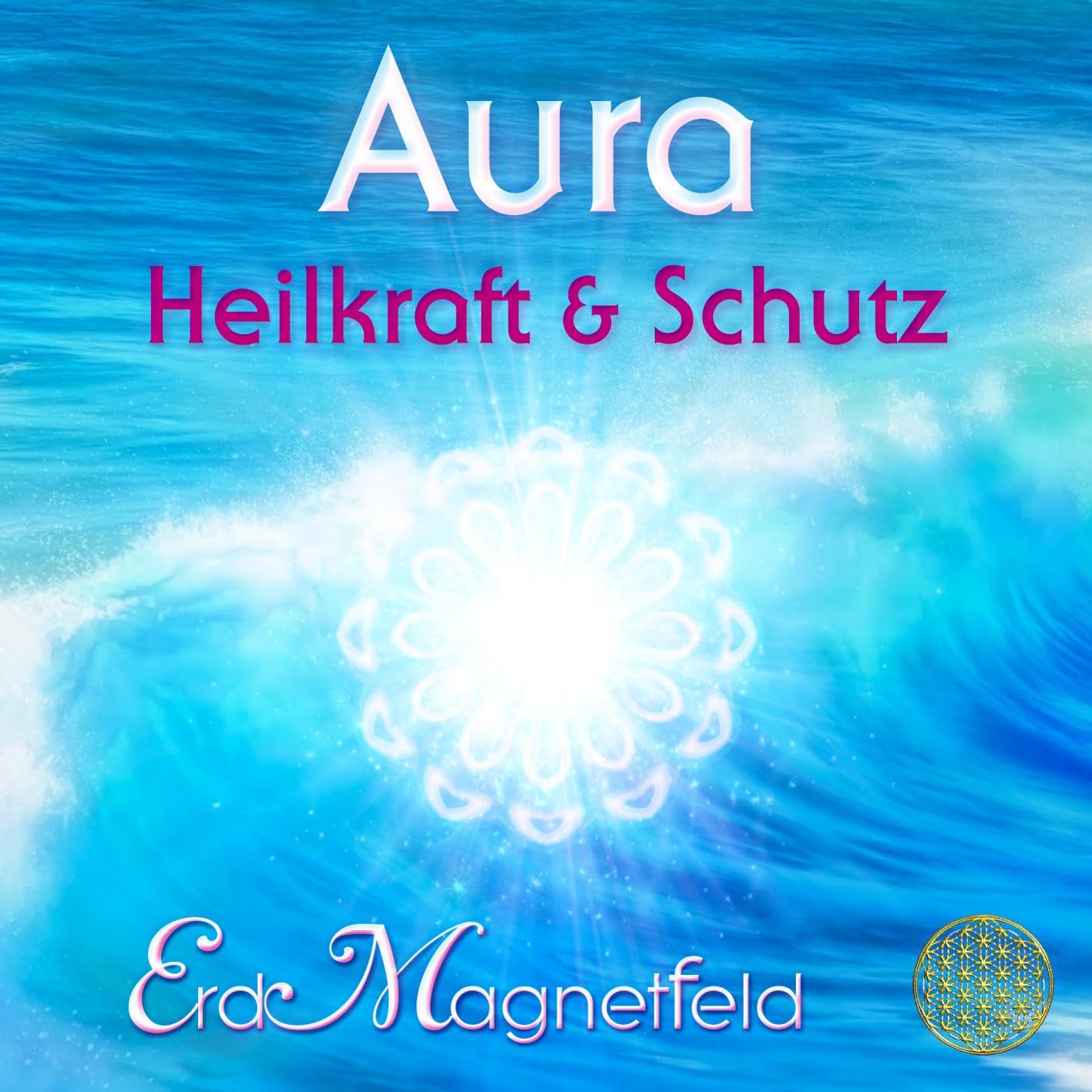 AURA - HEILKRAFT & SCHUTZ: Schwingungen des ErdMagnetfelds Health, Nutrition & Fitness