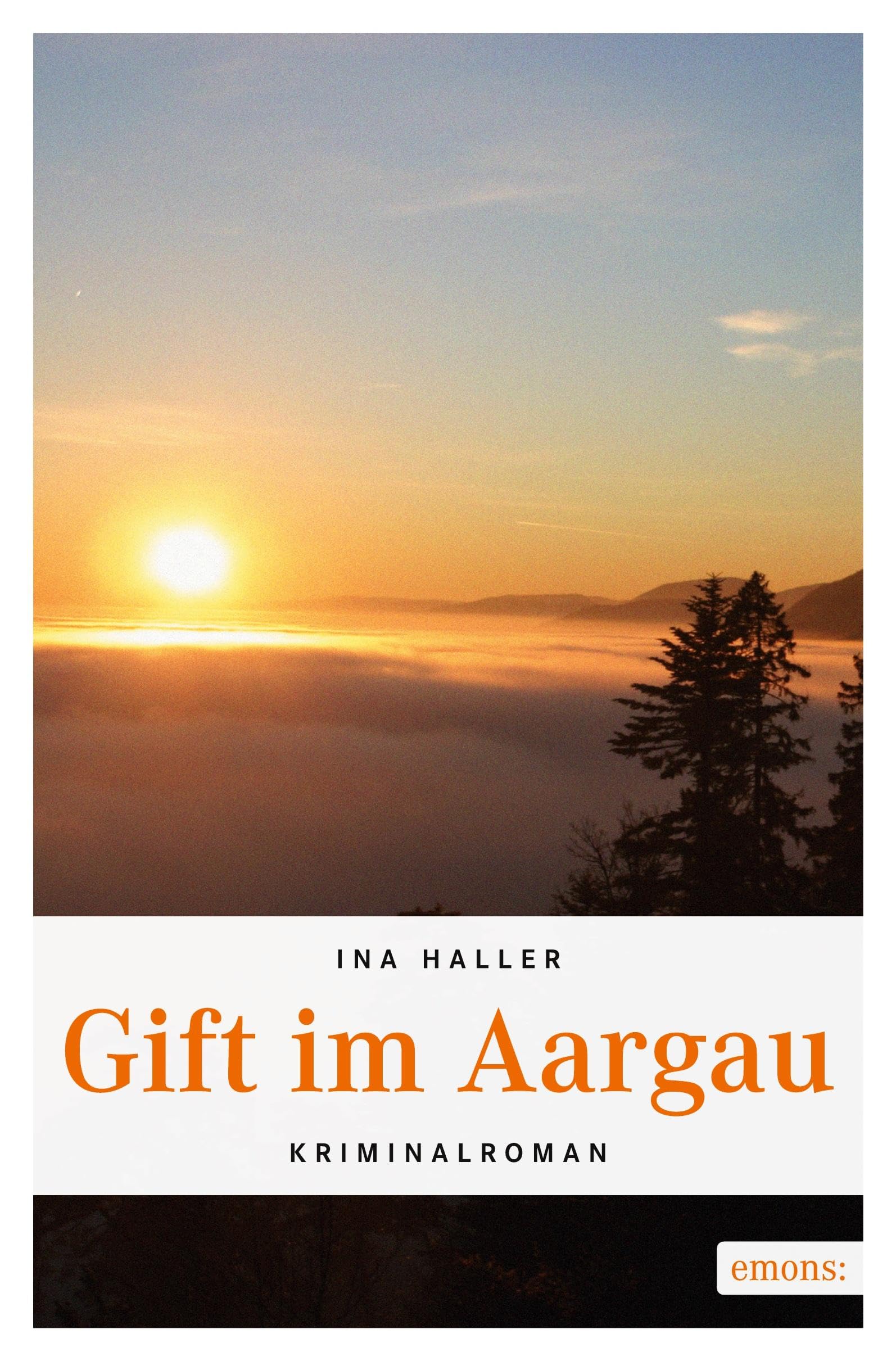 Gift im Aargau Contemporary literature Books