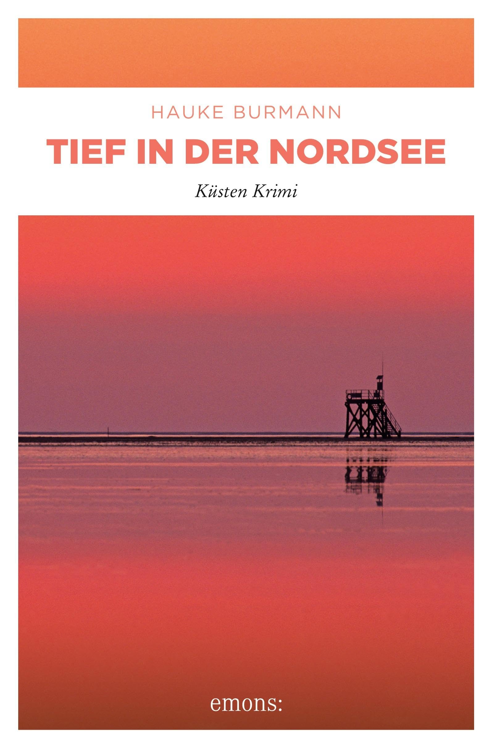 Tief in der Nordsee: Küsten Krimi Contemporary literature