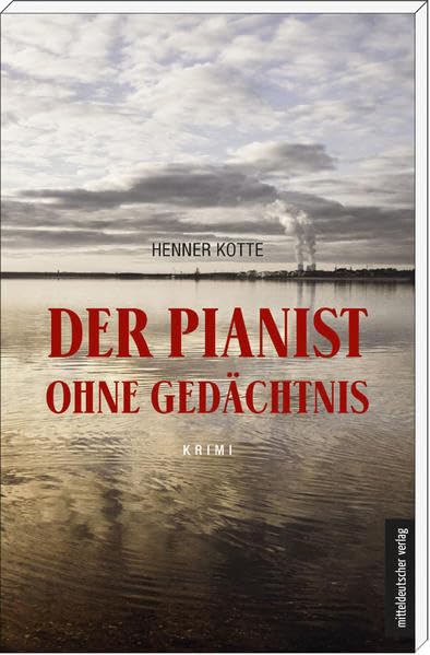 Der Pianist ohne Gedächtnis Contemporary literature