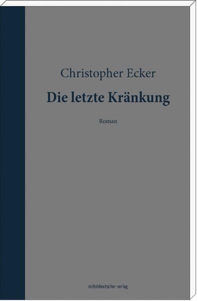 Die letzte Kränkung: Roman Contemporary literature Books