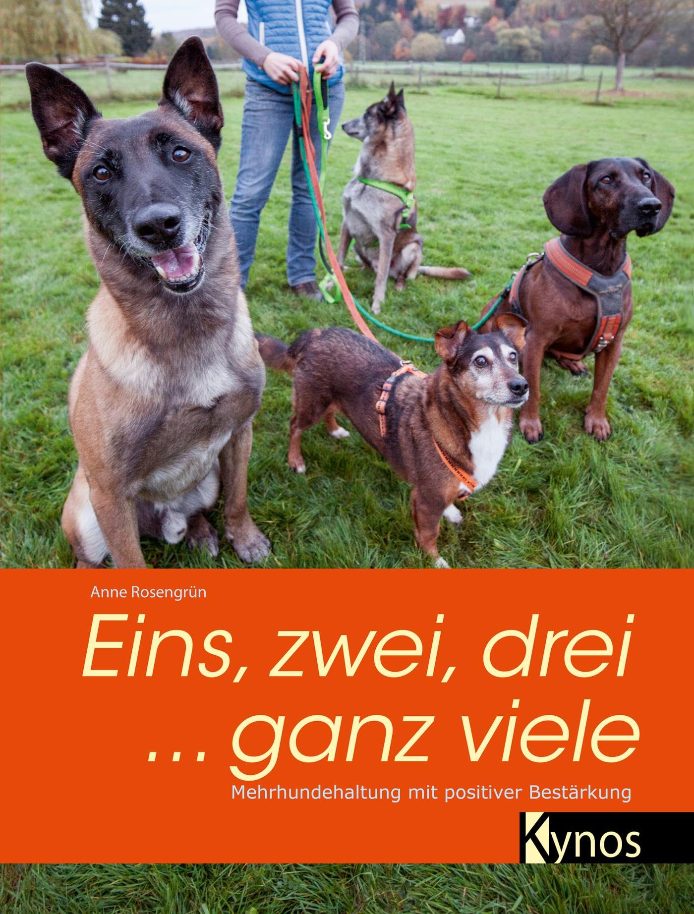 Eins, zwei, drei ... ganz viele Pets