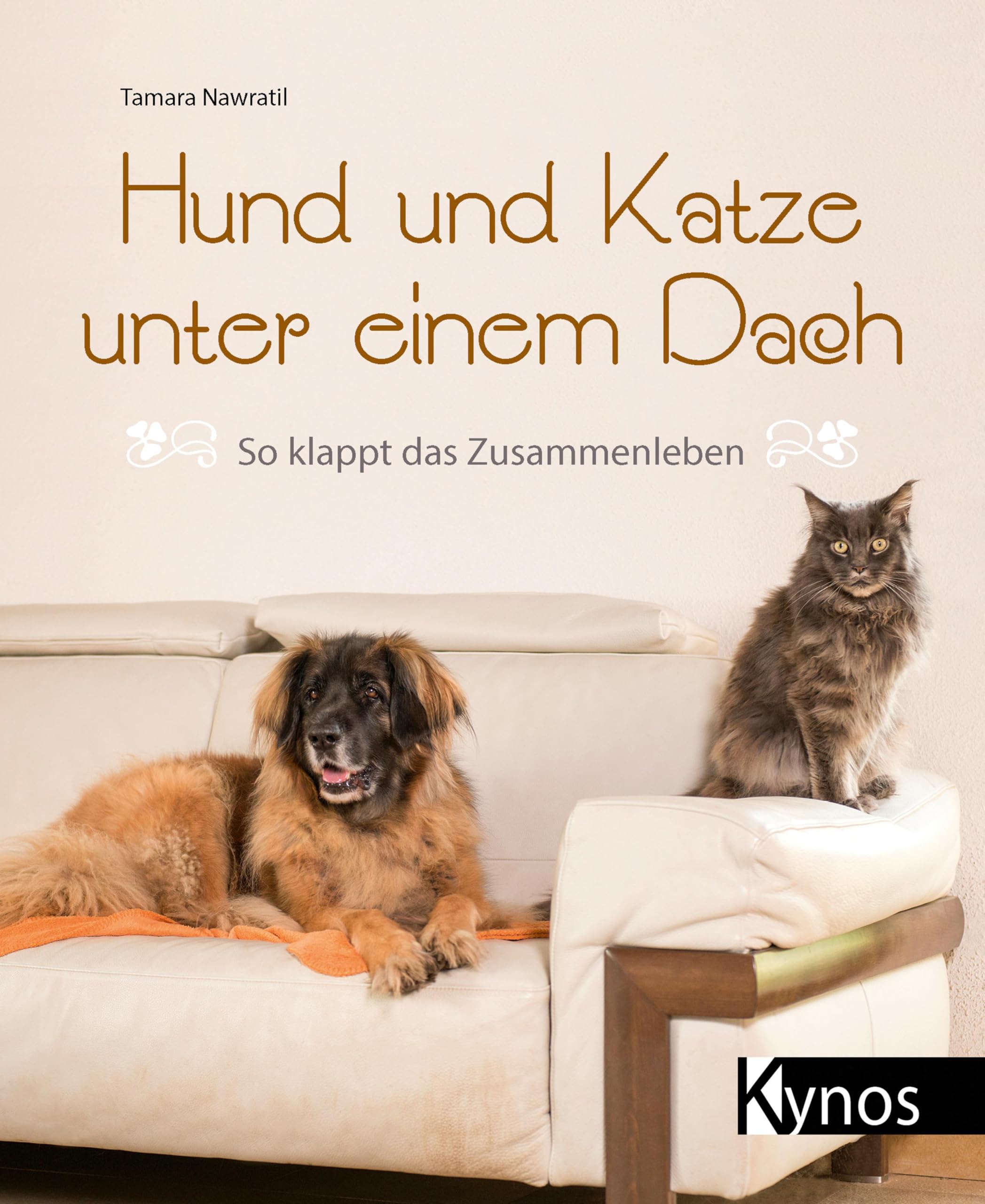 Hund und Katze unter einem Dach Pets