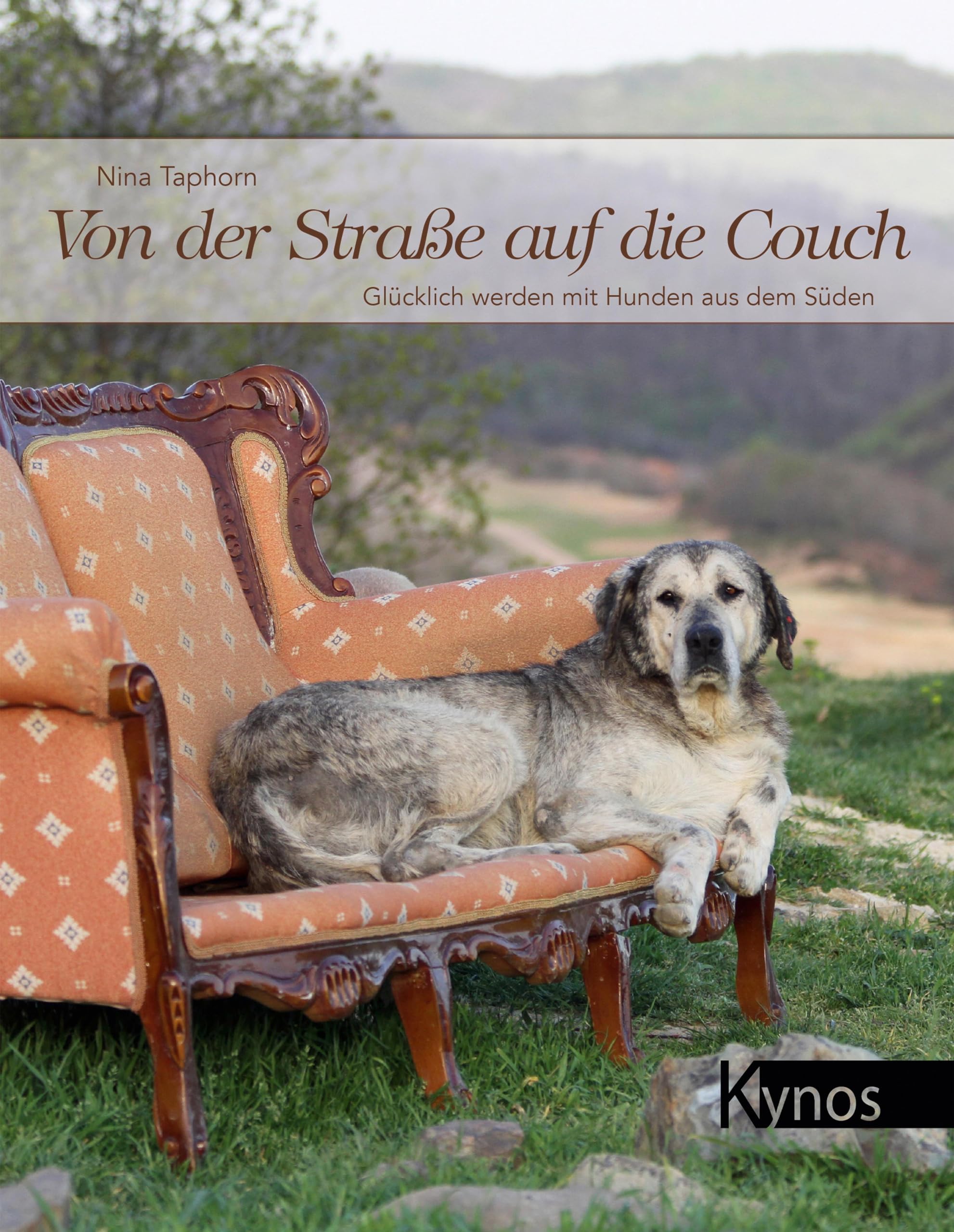 Von der Straße auf die Couch book