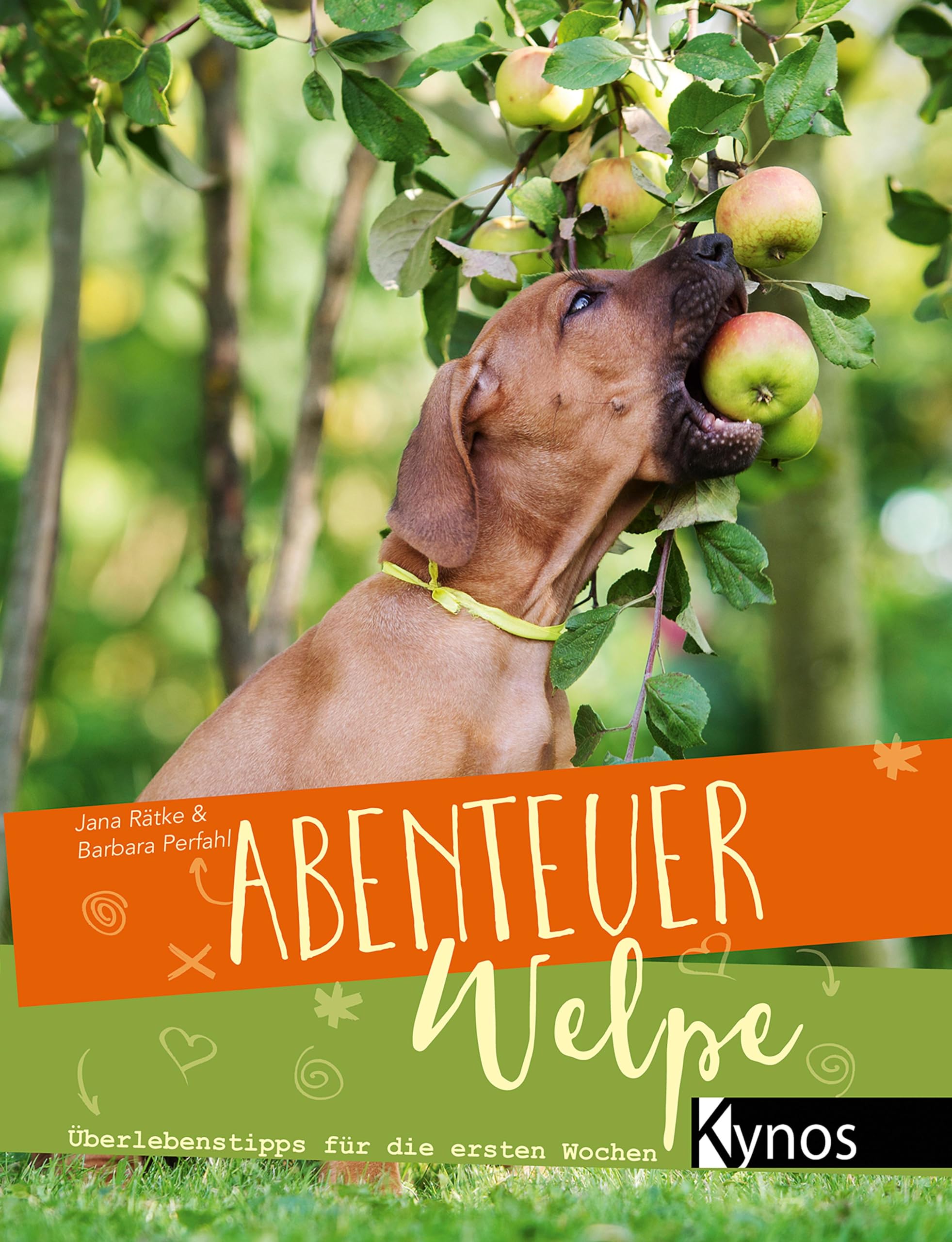 Product Image: Abenteuer Welpe