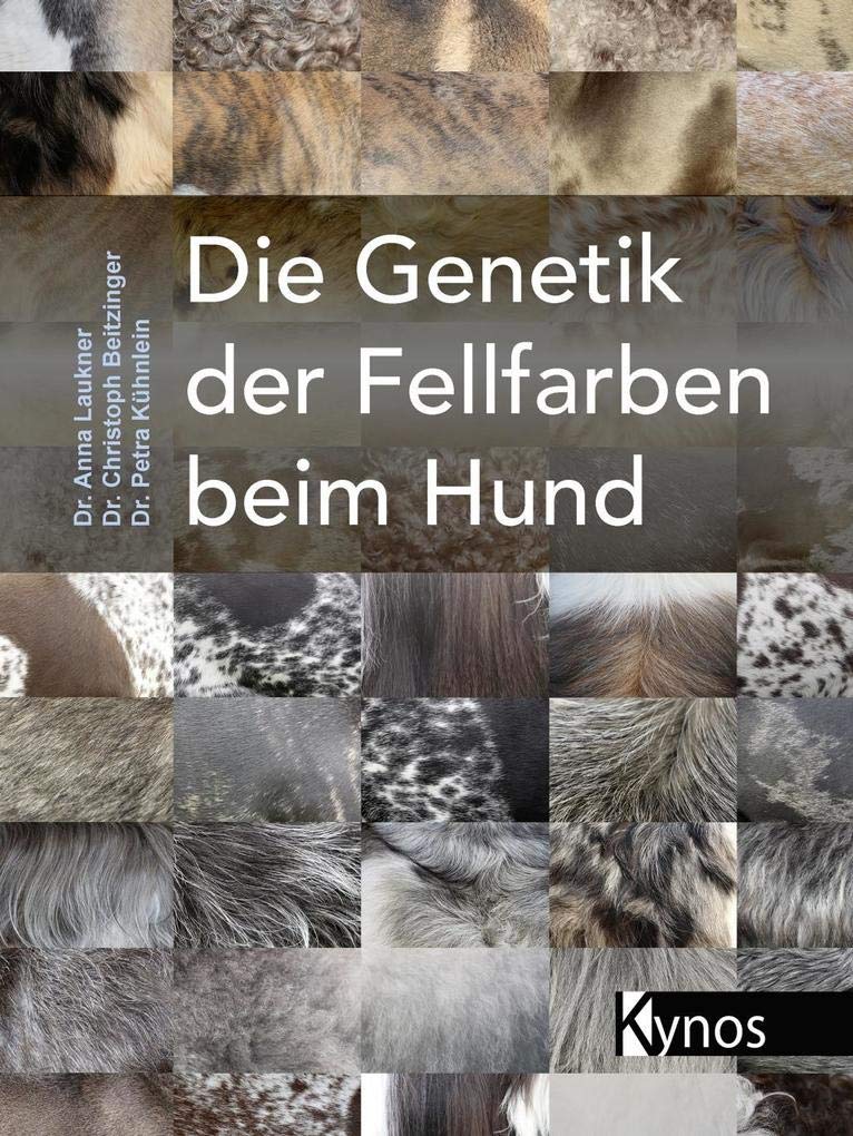 Die Genetik der Fellfarben beim Hund Medicine