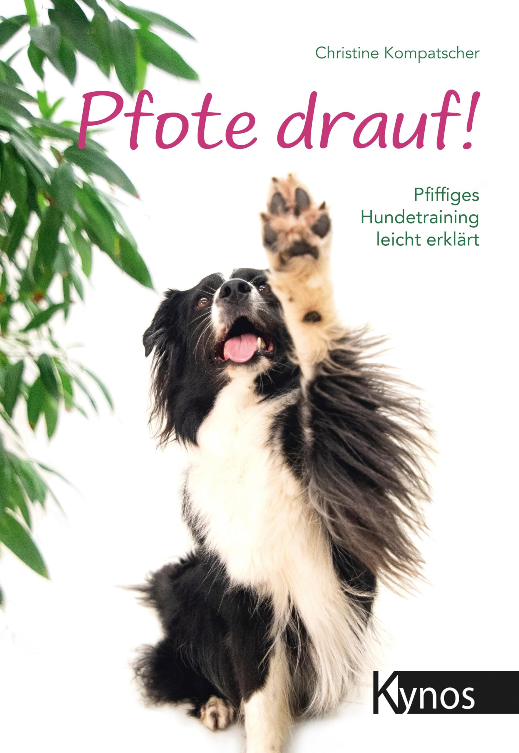 Pfote drauf! Books about Pets
