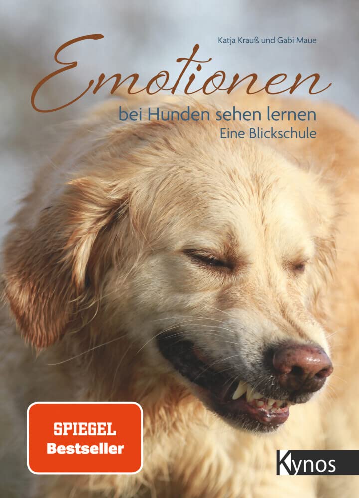 Emotionen bei Hunden sehen lernen Pets