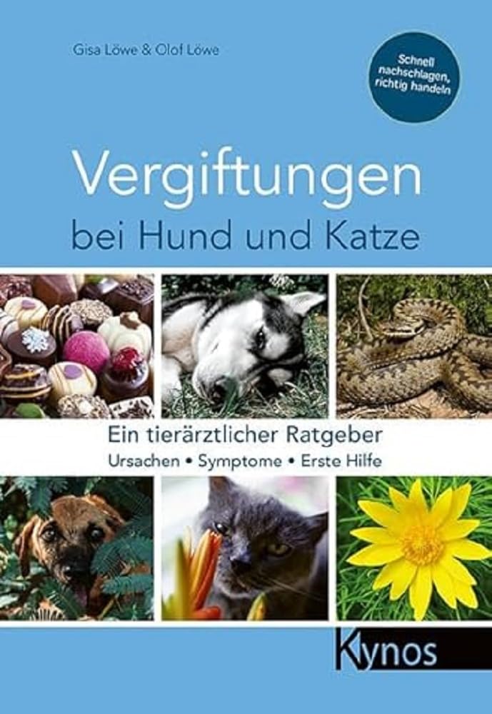 Vergiftungen bei Hund und Katze: Ein tierärztlicher Ratgeber Pets