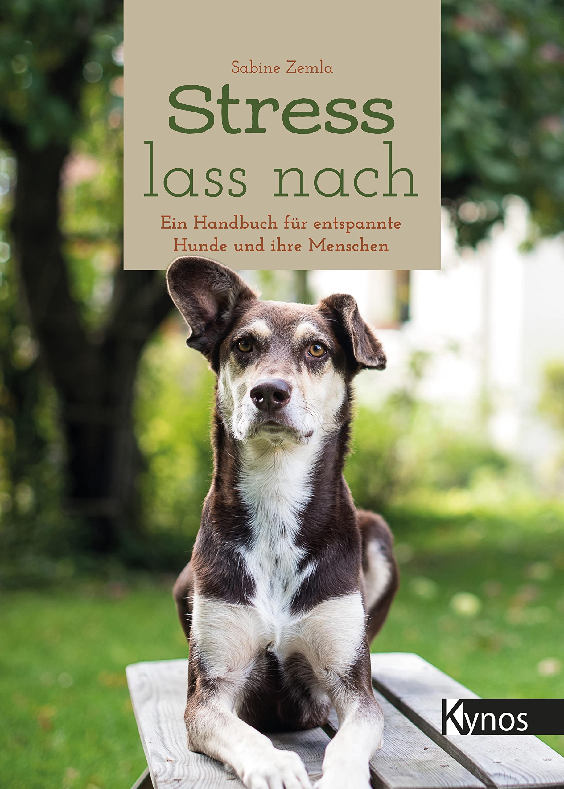 Product Image: Stress lass nach