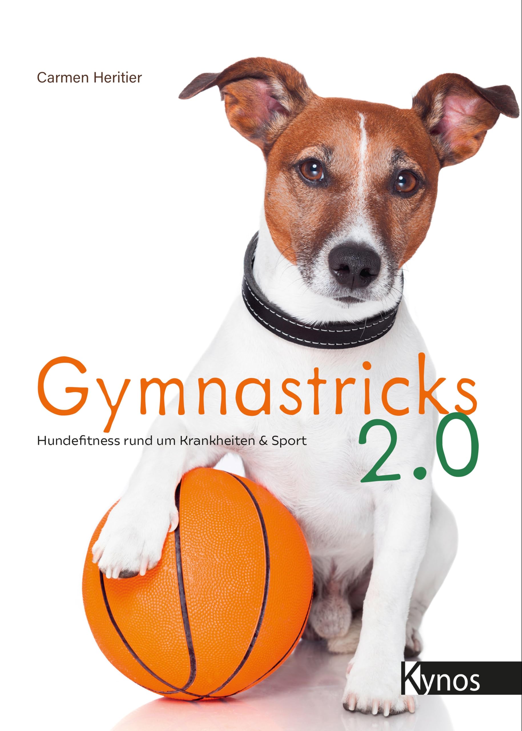 Product Image: Gymnastricks 2.0