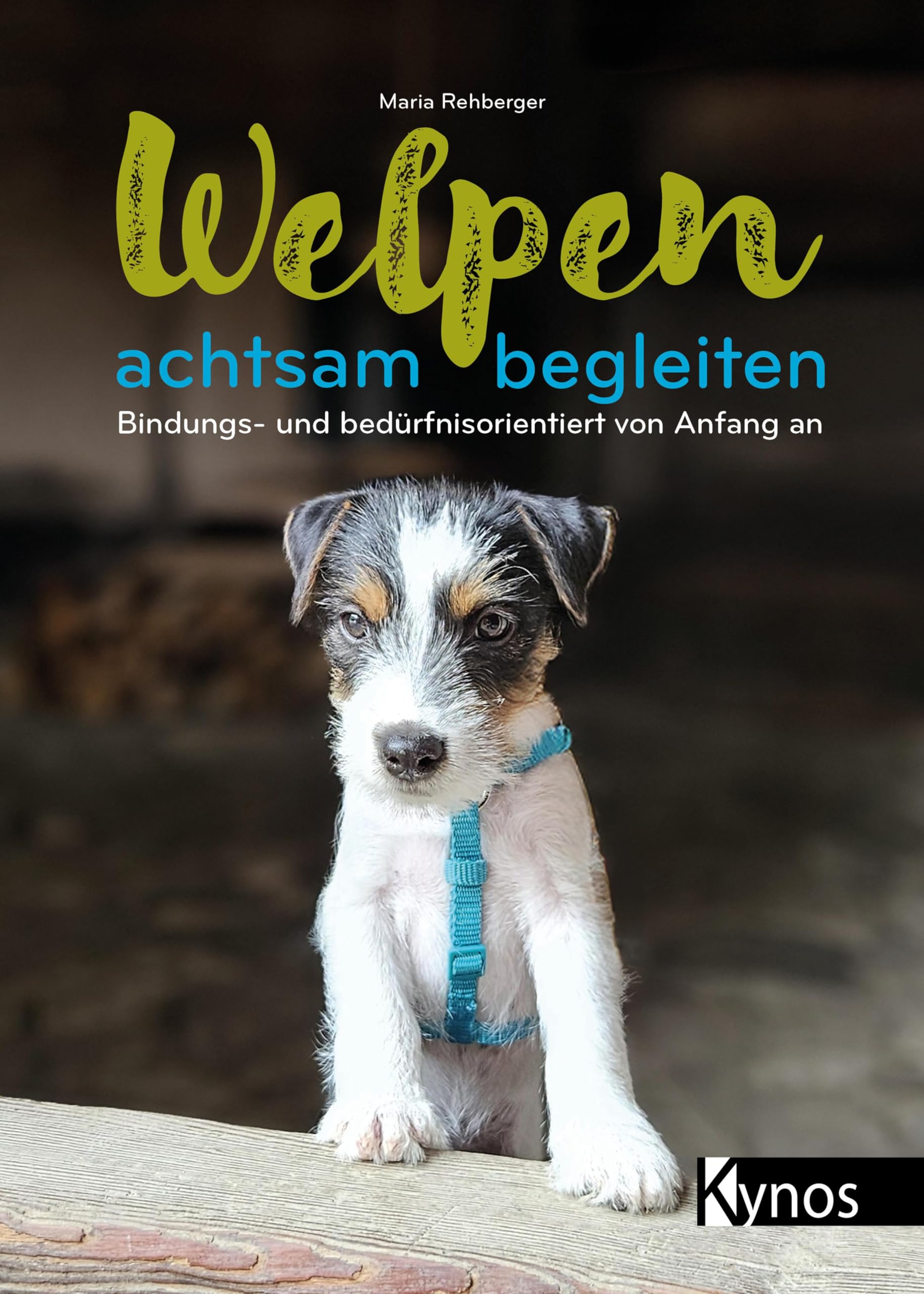 Welpen achtsam begleiten Pets
