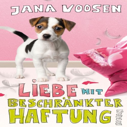 Liebe mit beschränkter Haftung: Roman Contemporary literature
