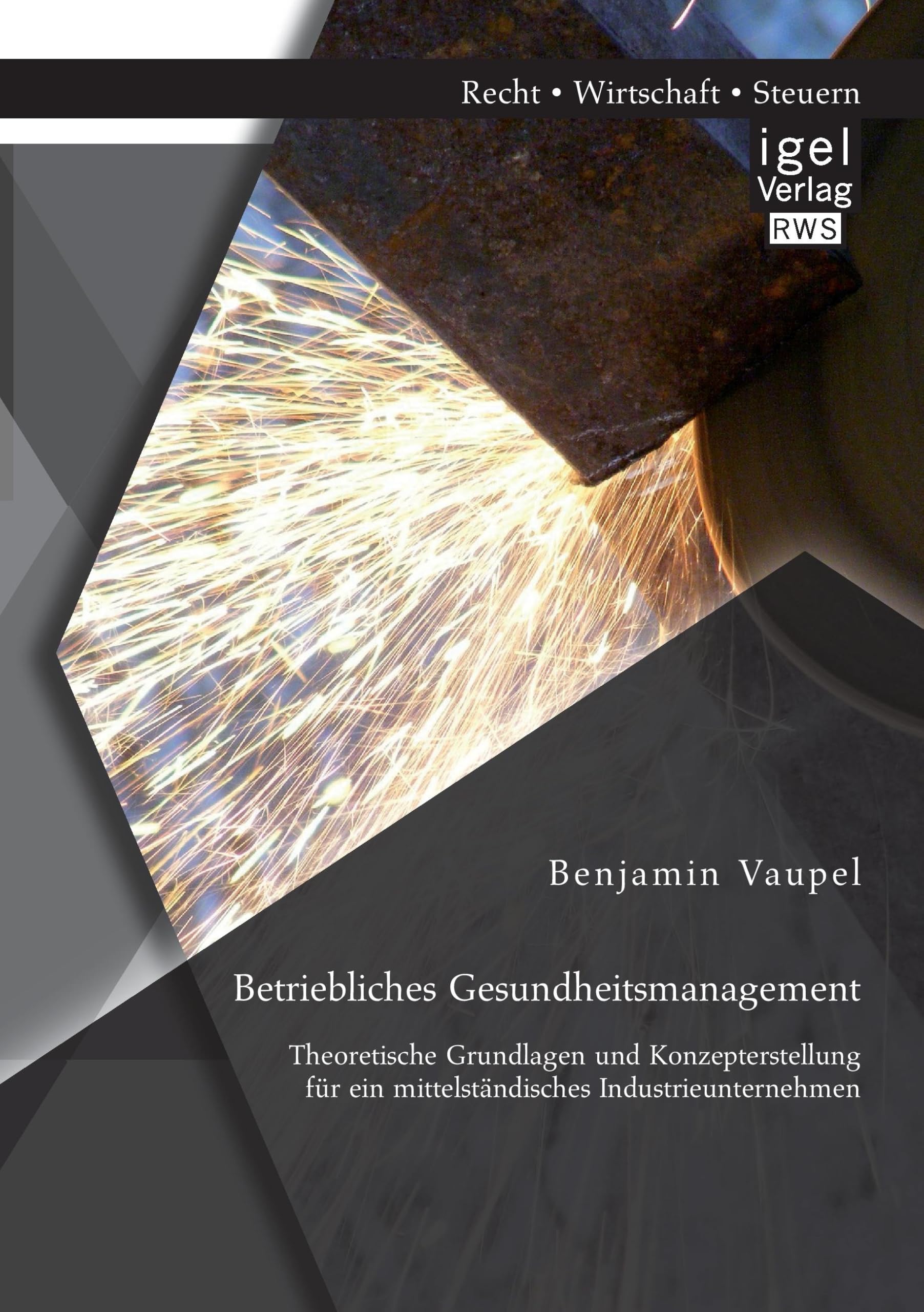 Betriebliches Gesundheitsmanagement: Theoretische Grundlagen und Konzepterstellung für ein mittelständisches Industrieunternehmen Medicine