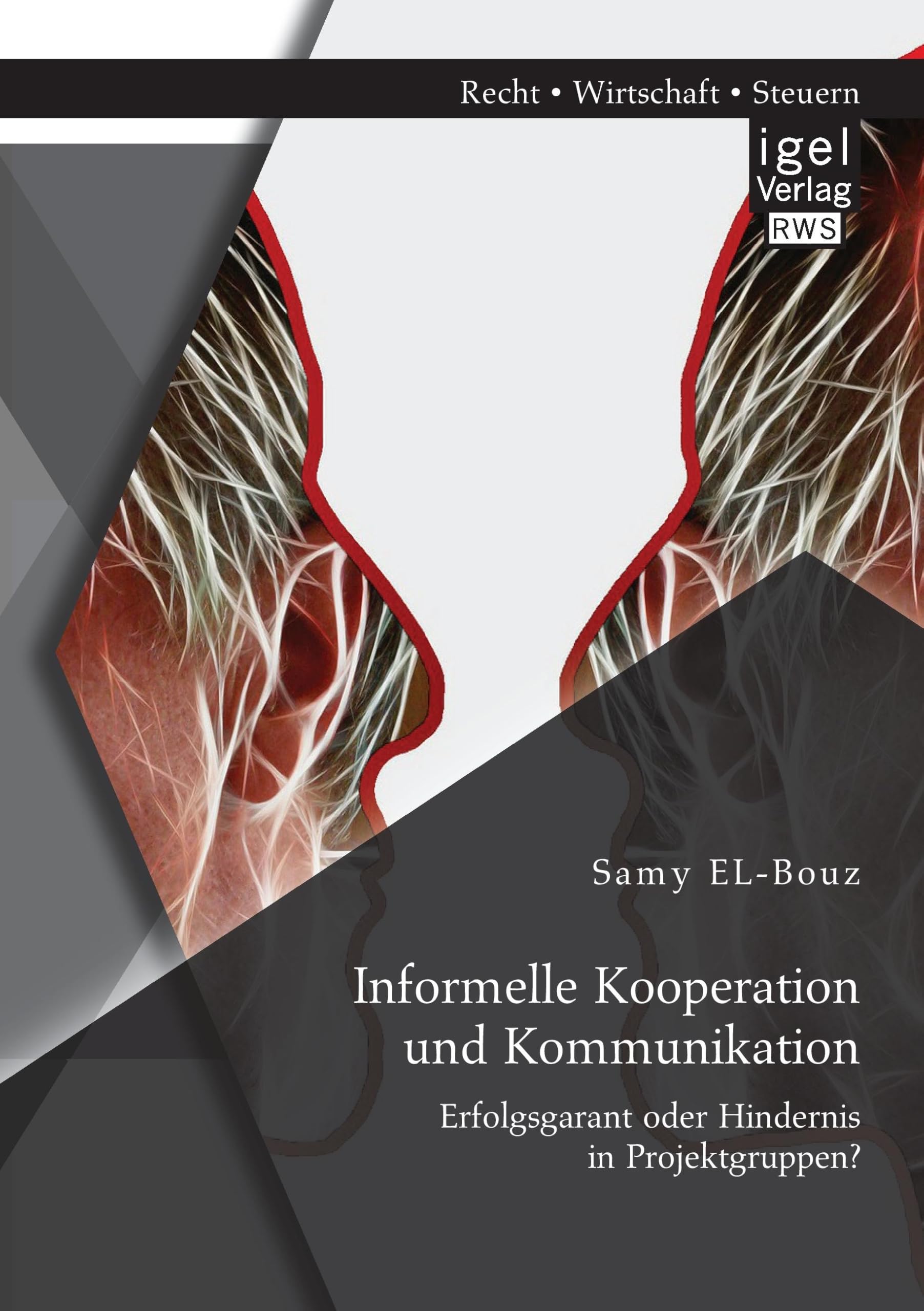 Informelle Kooperation und Kommunikation: Erfolgsgarant oder Hindernis in Projektgruppen? Law