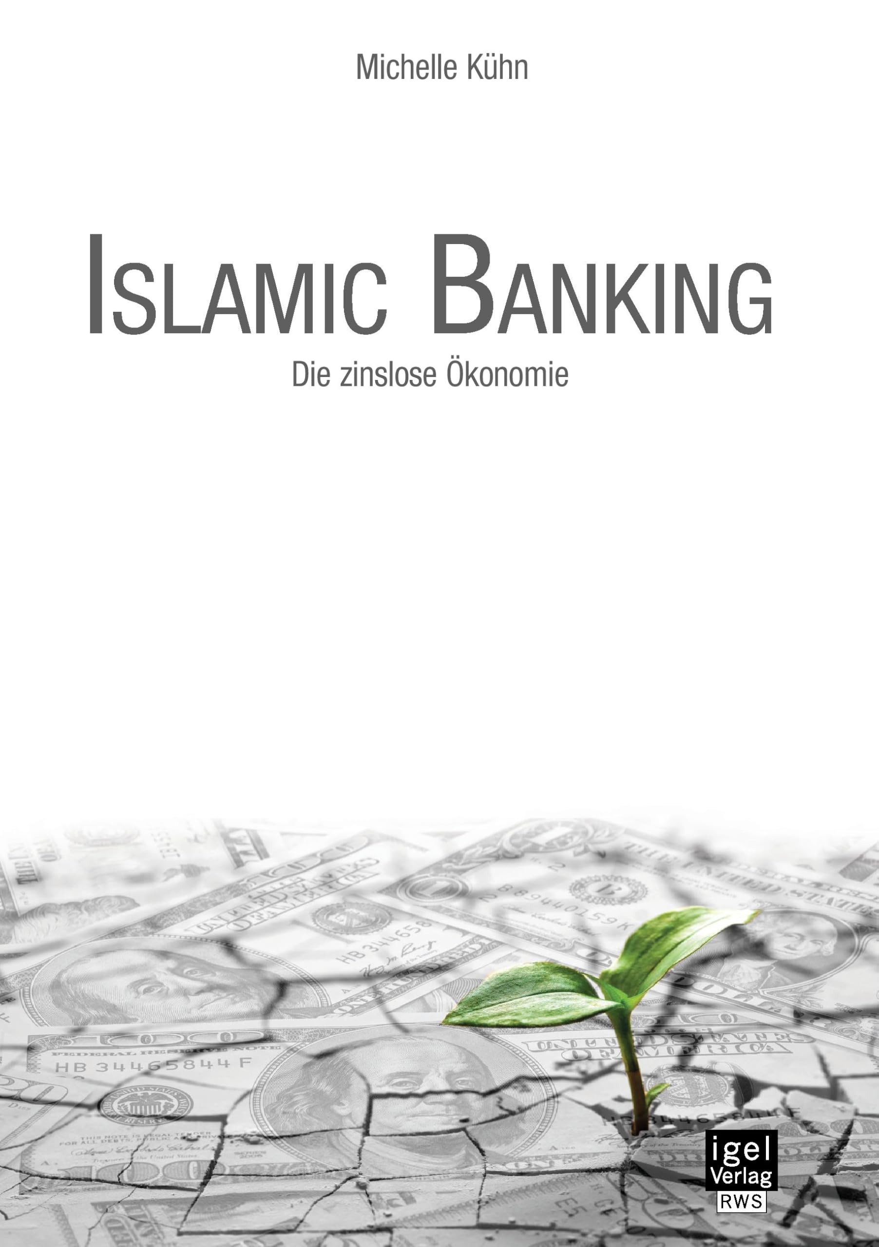 Islamic Banking: Die zinslose Ökonomie Law