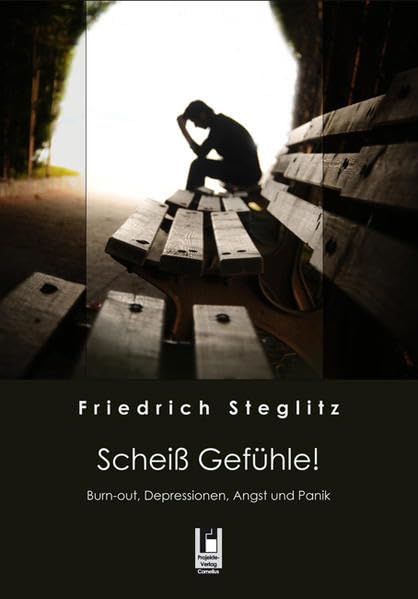 Scheiß Gefühle!: Burn-out, Depressionen, Angst und Panik Contemporary literature