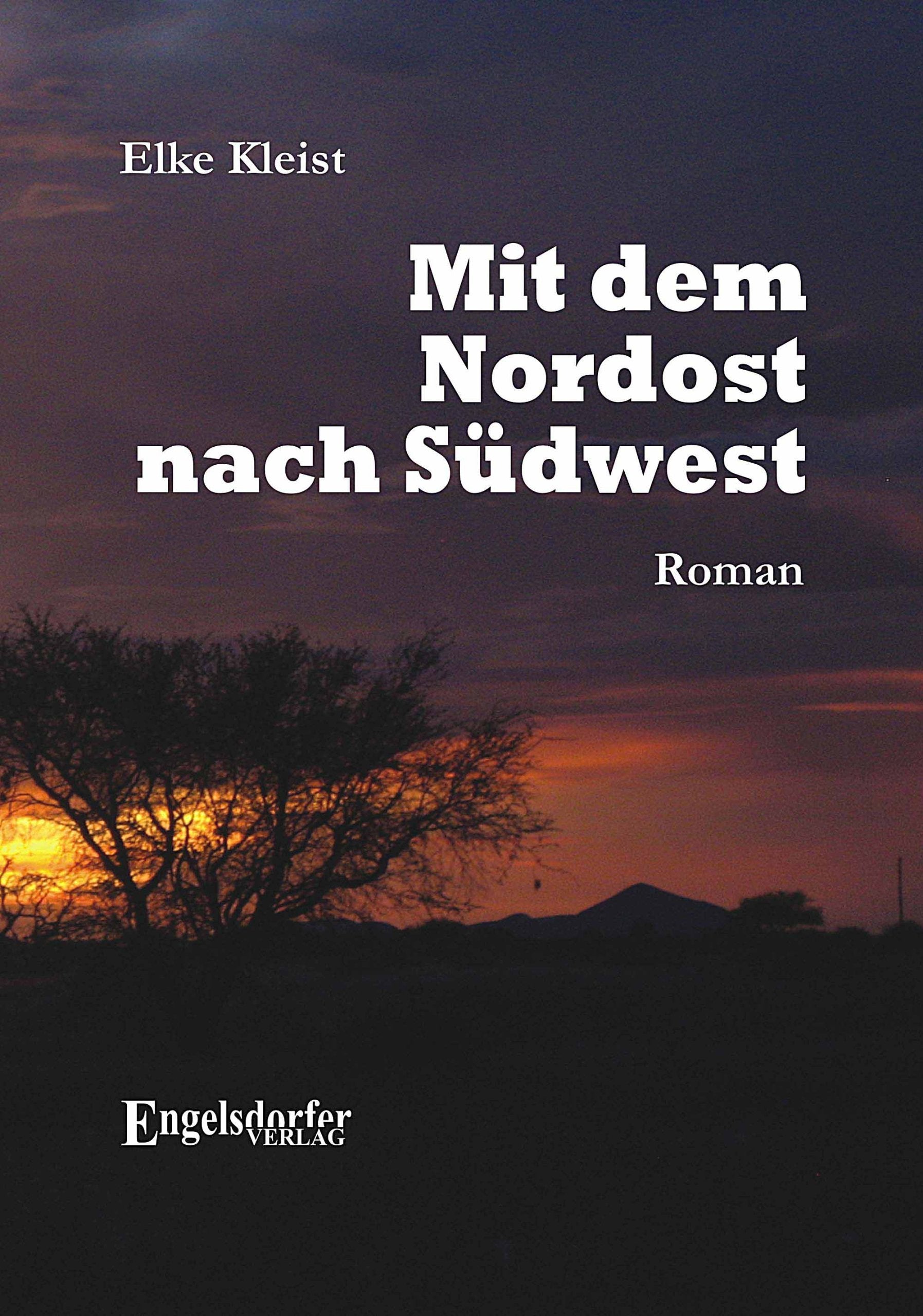 Mit dem Nordost nach Südwest: Roman Contemporary literature